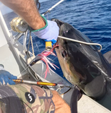 Trolling Duck and 7in blue/blackbar slant COMBO