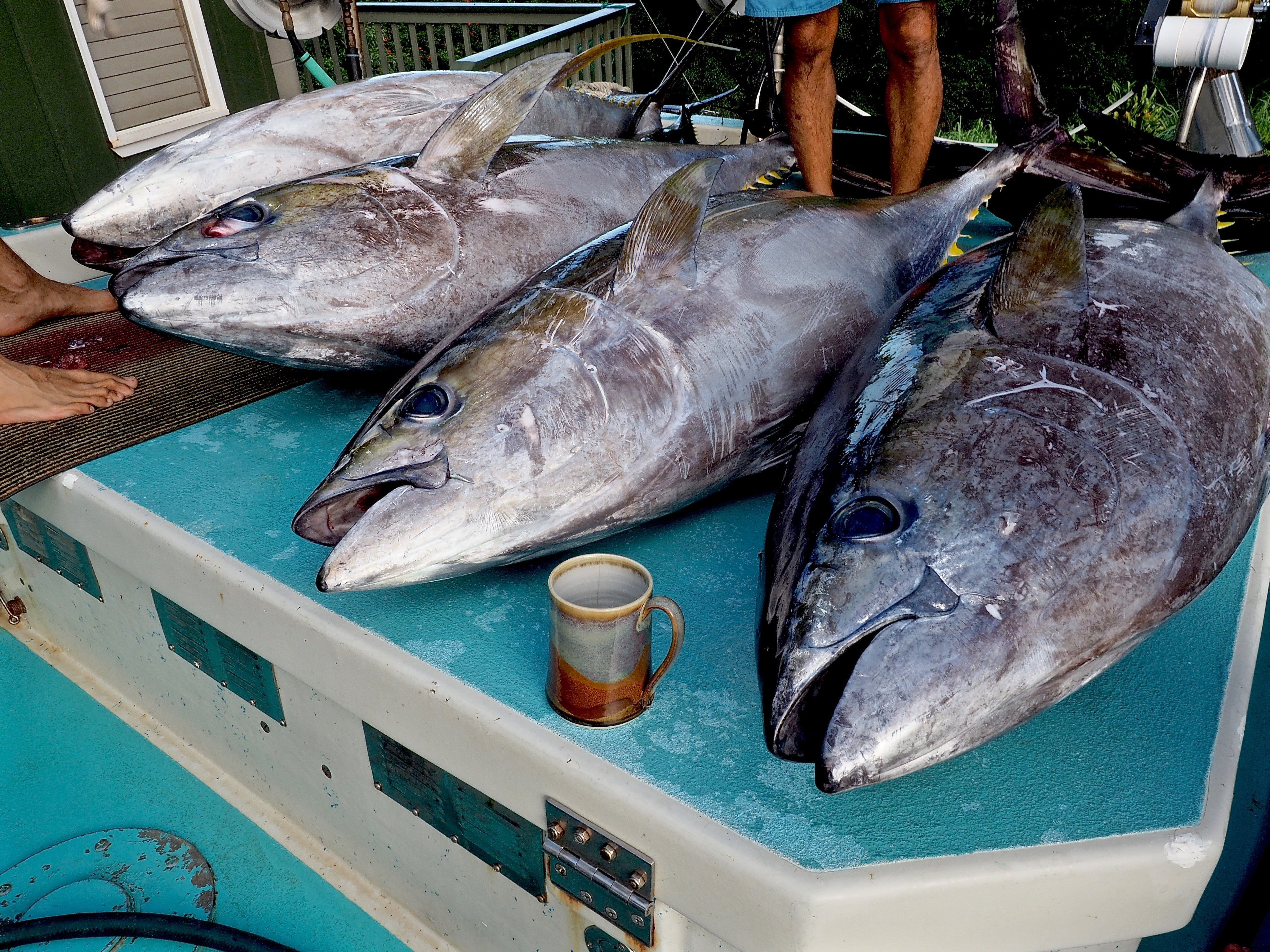 ルアー・フライ TAKE handmadelures take king premium 3xbztoo_babyz-